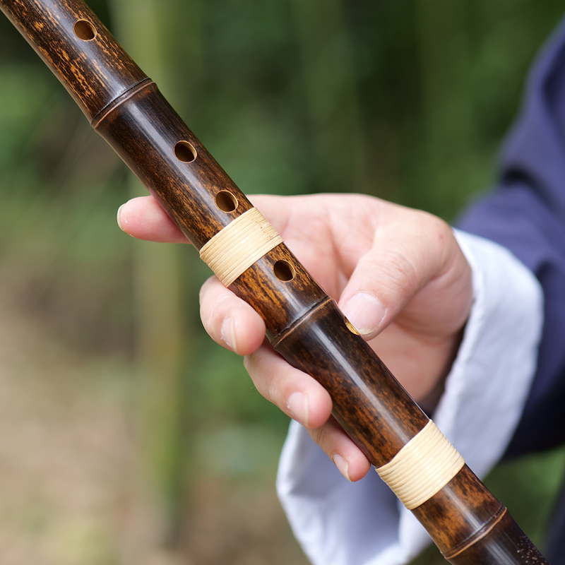 YPXD DongXiao Flute Purple Bam – Musical Instrument In Chinese Bewertung und Preis