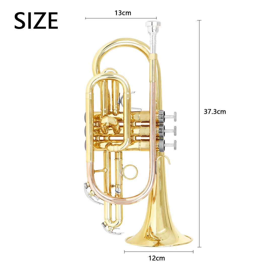 SLADE Professional Bb Cornet B – Musical Instrument Cornet Bewertung und Preis