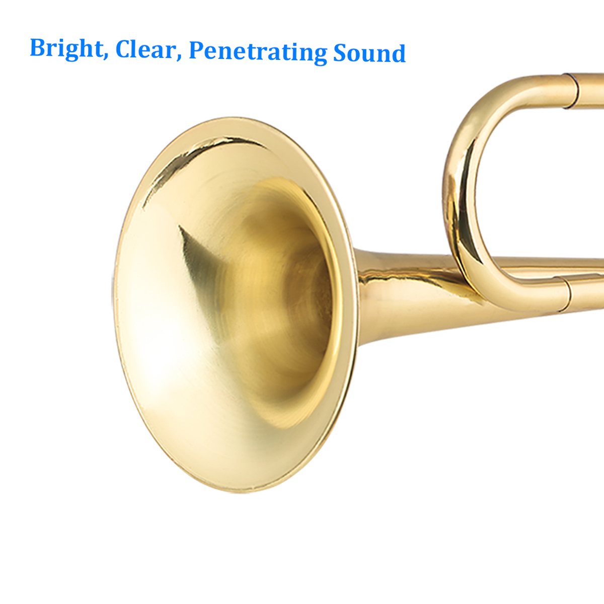 Brass C Bugle Call Gold-Plated – Musical Instrument Cornet Bewertung und Preis