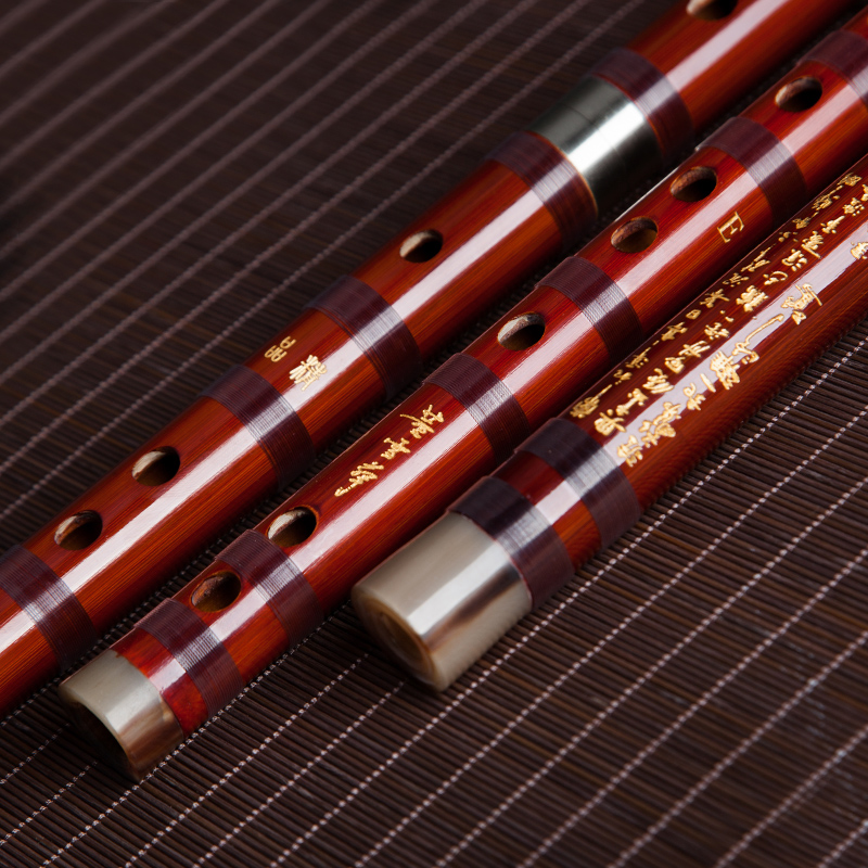 Dong Xuehua 8885 Bamboo Flute  – Musical Instrument Sign Bewertung und Preis