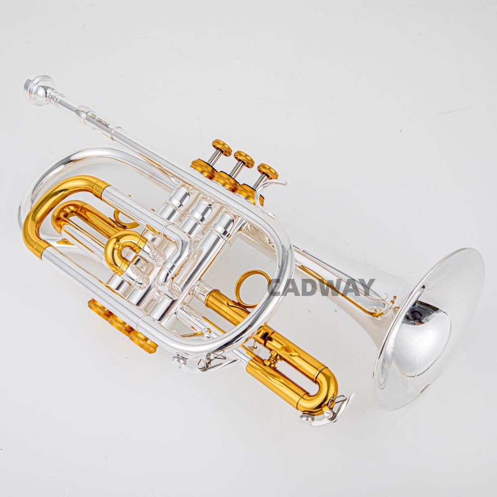 2026 High Grade BACH Silver Go – Musical Instrument Cornet Bewertung und Preis