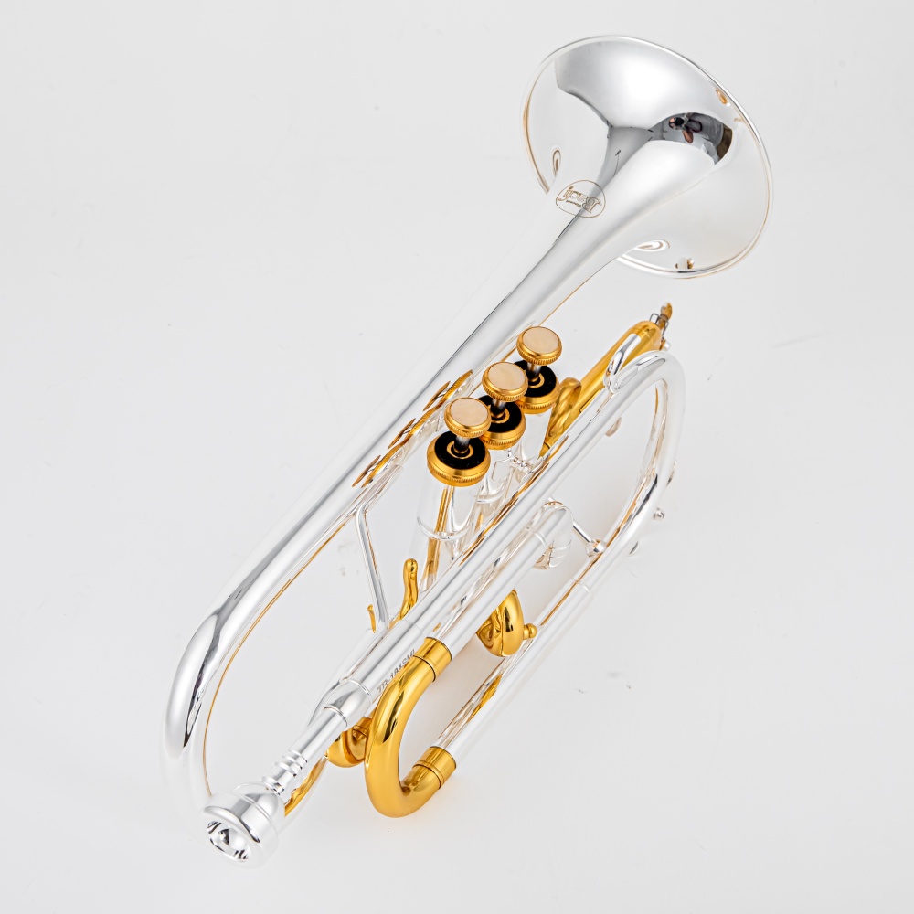 2026 High Grade BACH Silver Go – Musical Instrument Cornet Bewertung und Preis