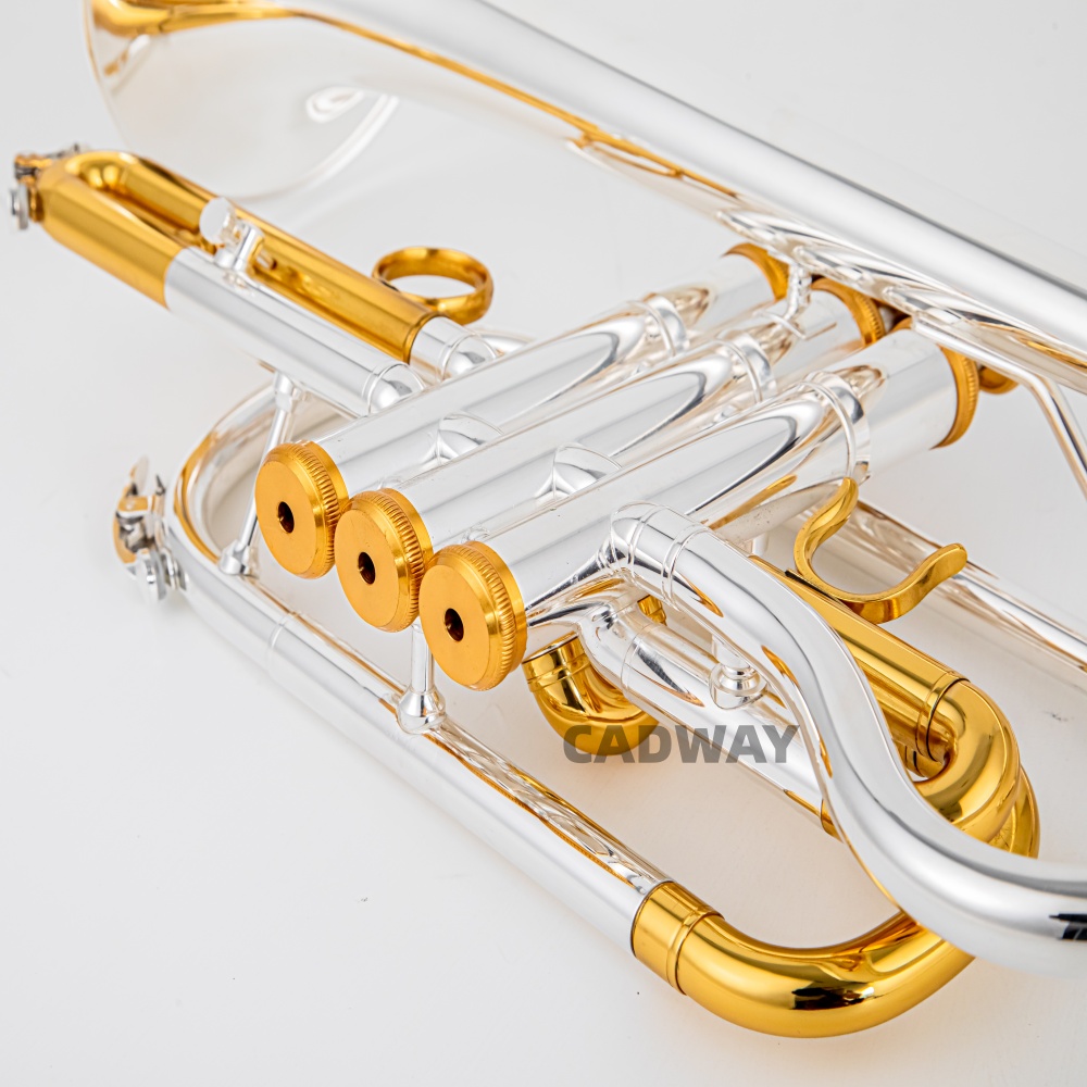 2026 High Grade BACH Silver Go – Musical Instrument Cornet Bewertung und Preis
