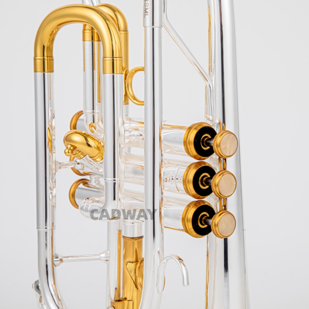 2026 High Grade BACH Silver Go – Musical Instrument Cornet Bewertung und Preis