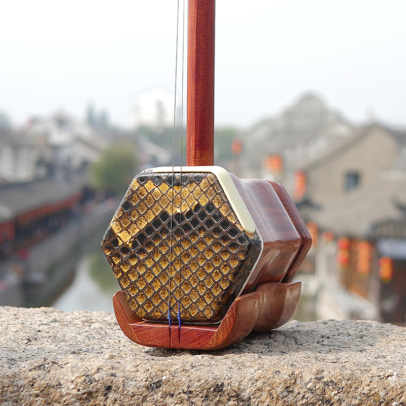Professional Dunhuang Brand 06 – Musical Instrument Brands Bewertung und Preis