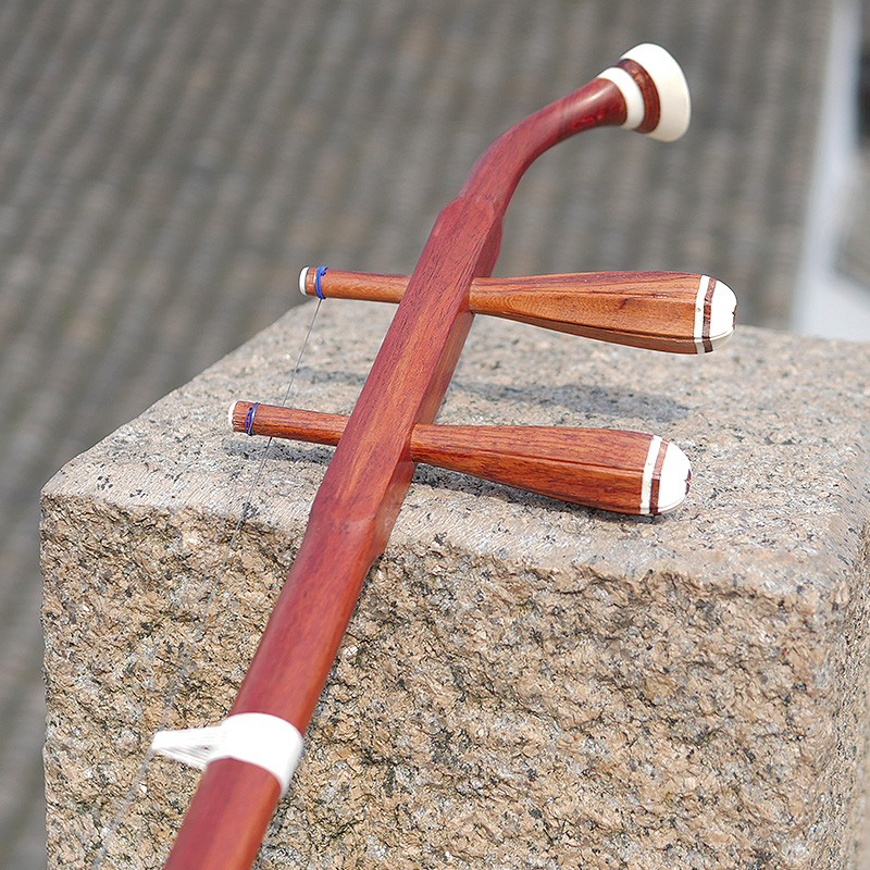 Professional Dunhuang Brand 06 – Musical Instrument Brands Bewertung und Preis