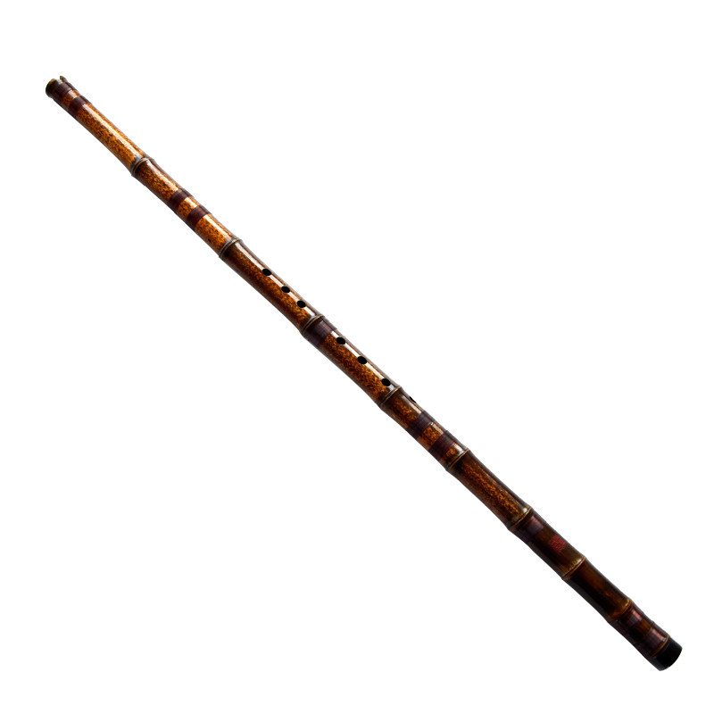 YPXD Dong Xiao Flute Purple Ba – Musical Instrument In Chinese Bewertung und Preis