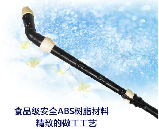 Professional 8 Holes Baroque B – Musical Instrument In Chinese Bewertung und Preis