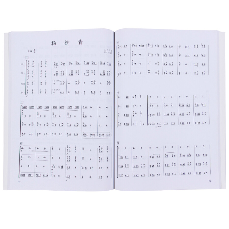 Chinese Guzheng Ensemble Music – Musical Instrument Groups Bewertung und Preis