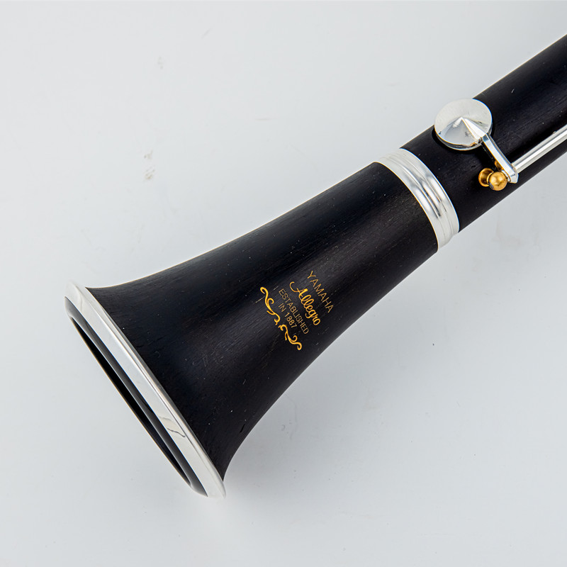 Japan Brand New Professional W – Musical Instrument Brands Bewertung und Preis