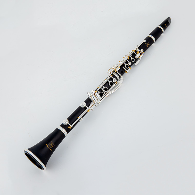 Japan Brand New Professional W – Musical Instrument Brands Bewertung und Preis