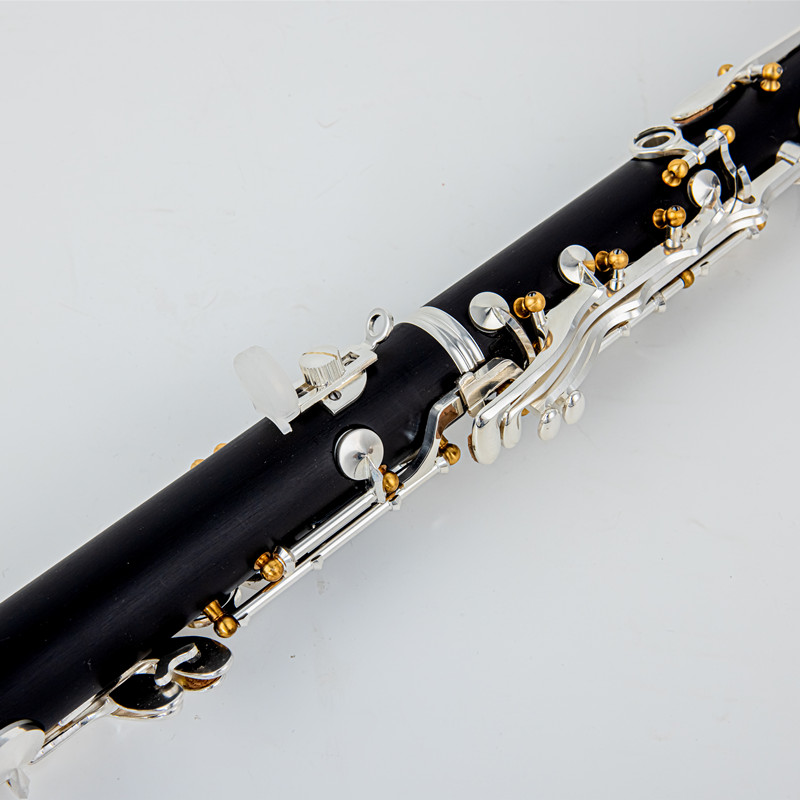 Japan Brand New Professional W – Musical Instrument Brands Bewertung und Preis