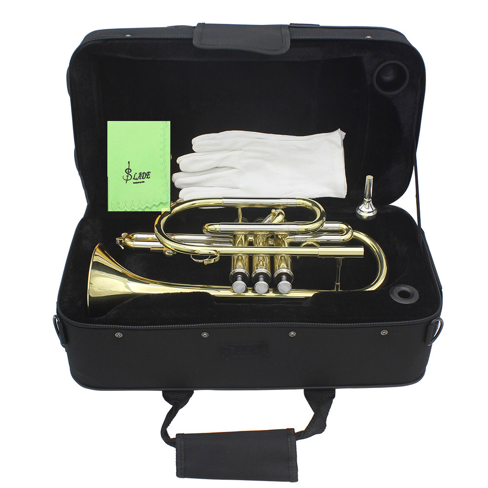Professional Bb B Flat Cornet  – Musical Instrument Cornet Bewertung und Preis
