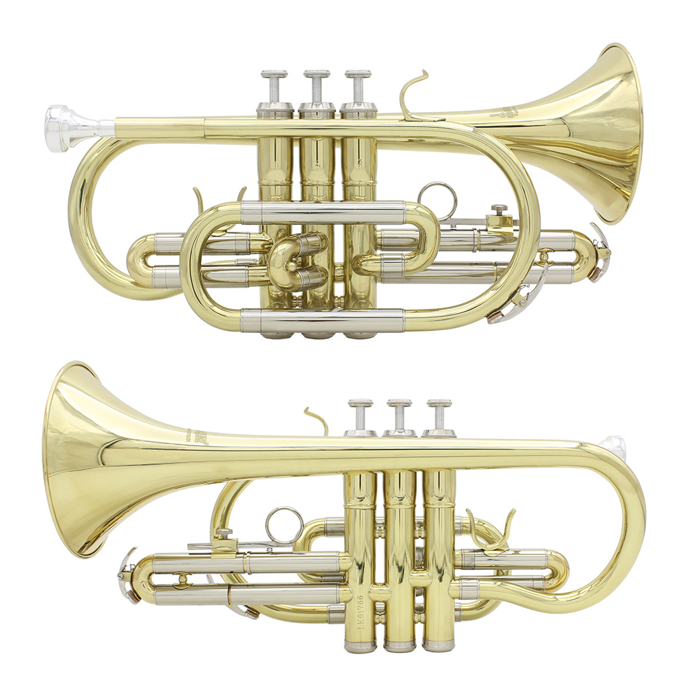 Professional Bb B Flat Cornet  – Musical Instrument Cornet Bewertung und Preis
