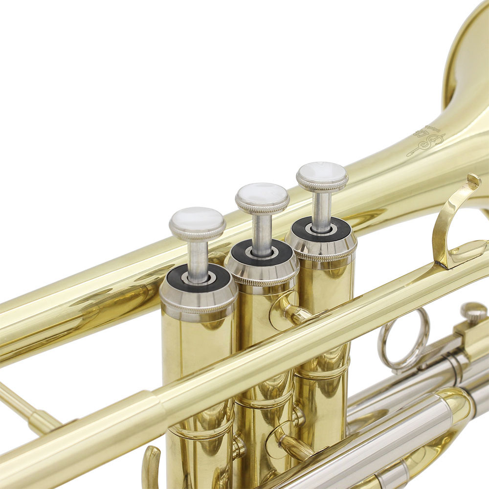 SLADE Bb B-flat Cornet Brass B – Musical Instrument Cornet Bewertung und Preis